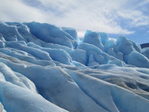 IMG_0775