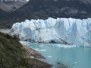 IMG_0790
