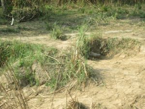 croc in hole