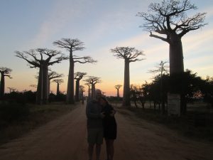 Baobab sunrise